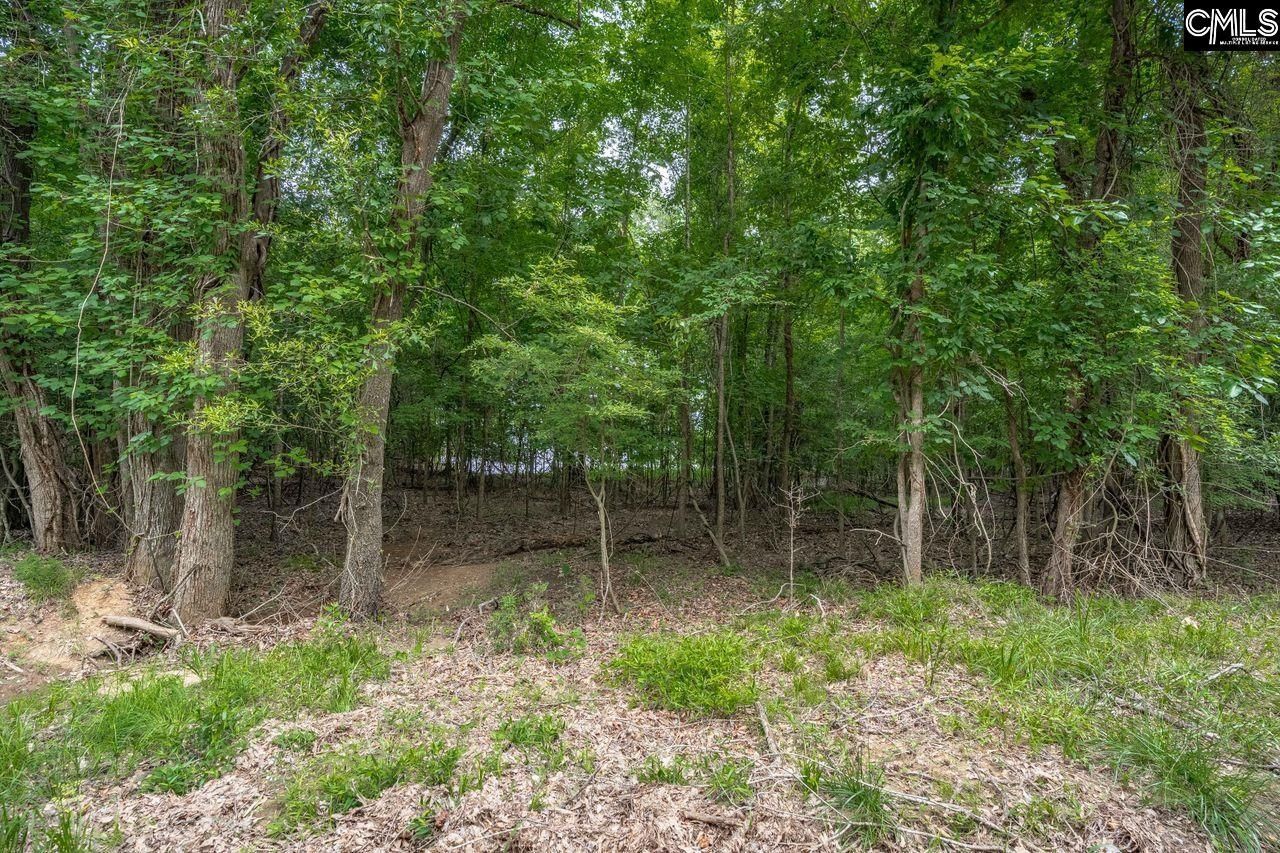 1600 Wildwood Cove Road  Photo 19