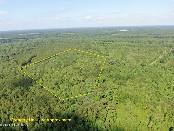 Tbd Oliver Carlton Road , Warsaw, NC 28398