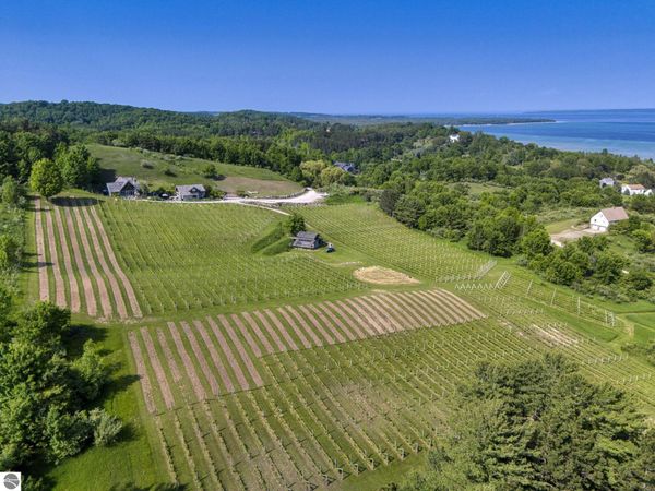 10702 Hill Top Road E, Suttons Bay, MI 49682
