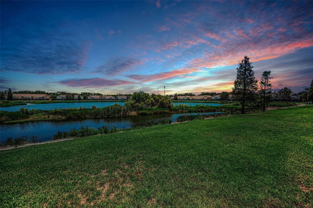 10155 Haverhill Ridge Drive , Riverview, FL 33578 Photo