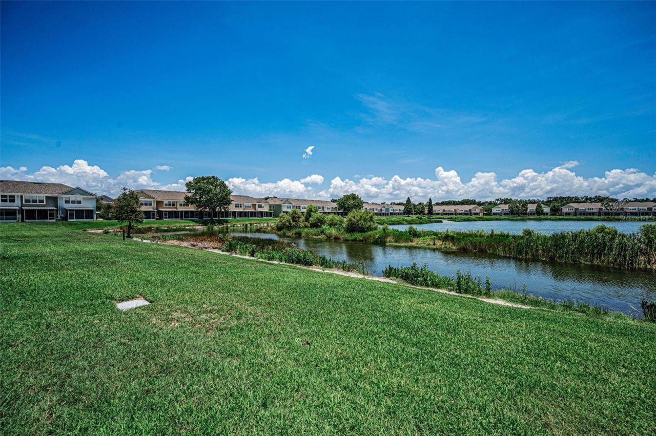 10155 Haverhill Ridge Drive , Riverview, FL 33578 Photo