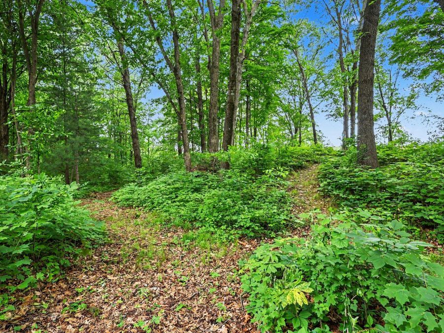 Property Image 60