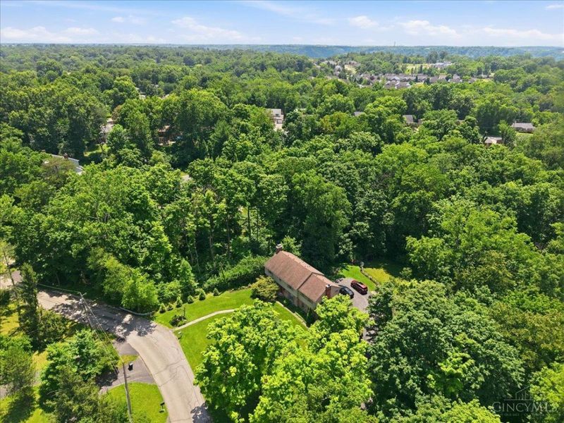 525 Overhill Lane, Delhi Twp, OH 45238 Photo 56