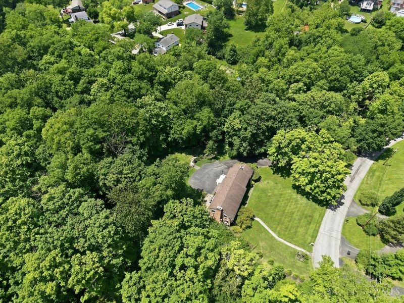 525 Overhill Lane, Delhi Twp, OH 45238 Photo 60