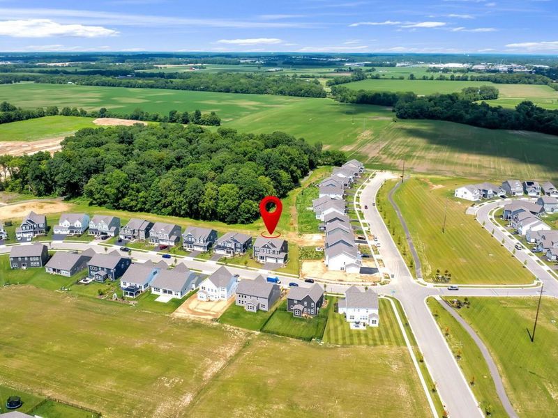 1405 Sand Dome Way, Plain City, OH 43064 Photo 39