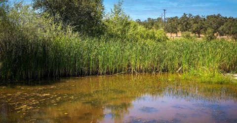 12810 S Camanche Pkwy #s, Unit S, Burson, CA 95225 Photo