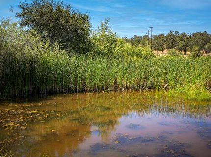 12810 S Camanche Pkwy #s, Unit S, Burson, CA 95225 Photo