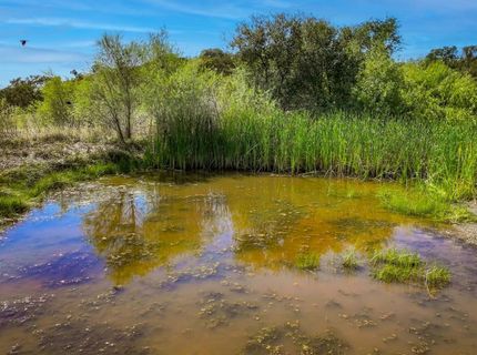 12810 S Camanche Pkwy #s, Unit S, Burson, CA 95225 Photo