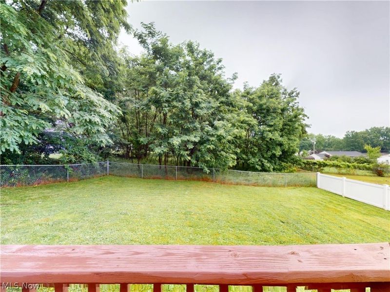 3904 Dunbar Street, Youngstown, OH 44515 Photo 38