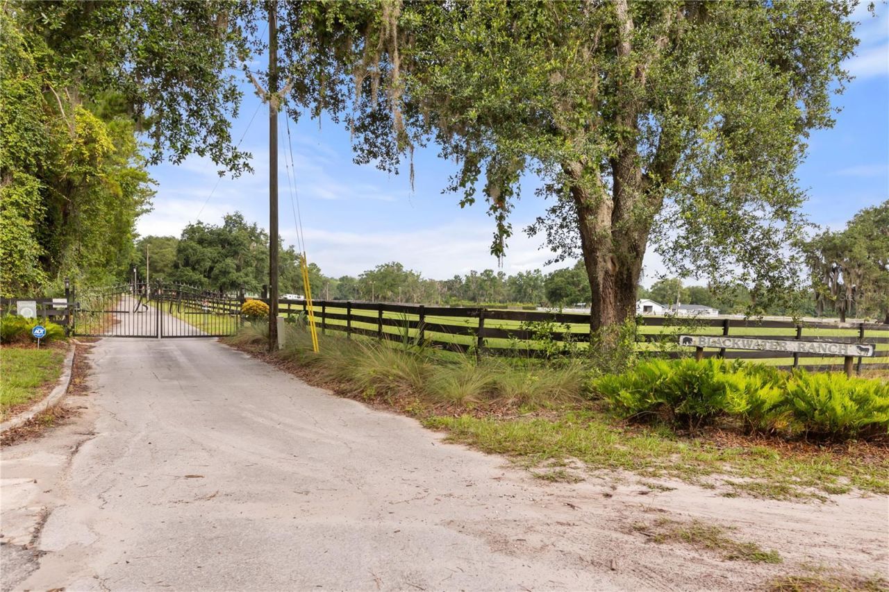 32839 Webbs Way, Sorrento, FL 32776 Photo