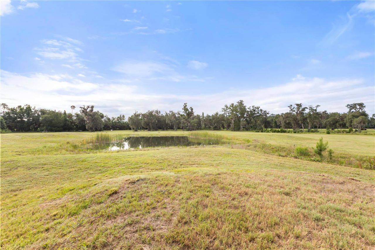 32839 Webbs Way, Sorrento, FL 32776 Photo