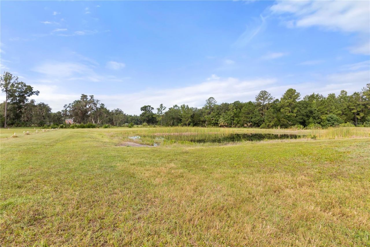 32839 Webbs Way, Sorrento, FL 32776 Photo