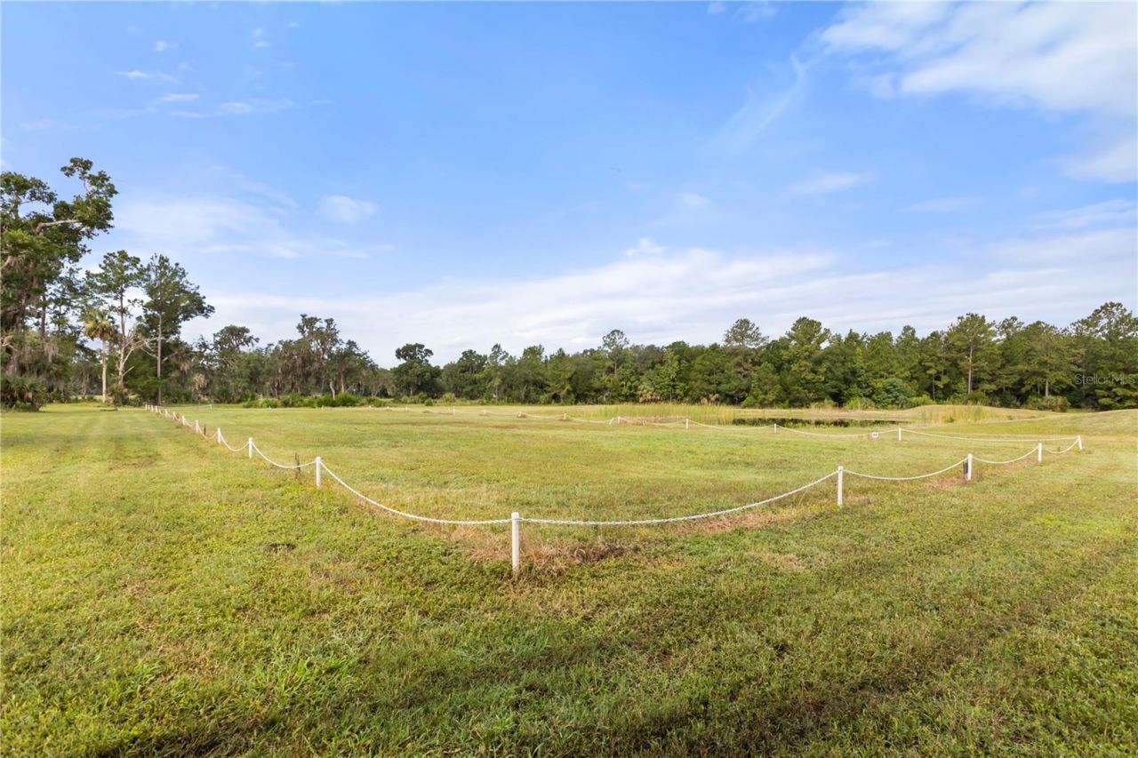 32839 Webbs Way, Sorrento, FL 32776 Photo