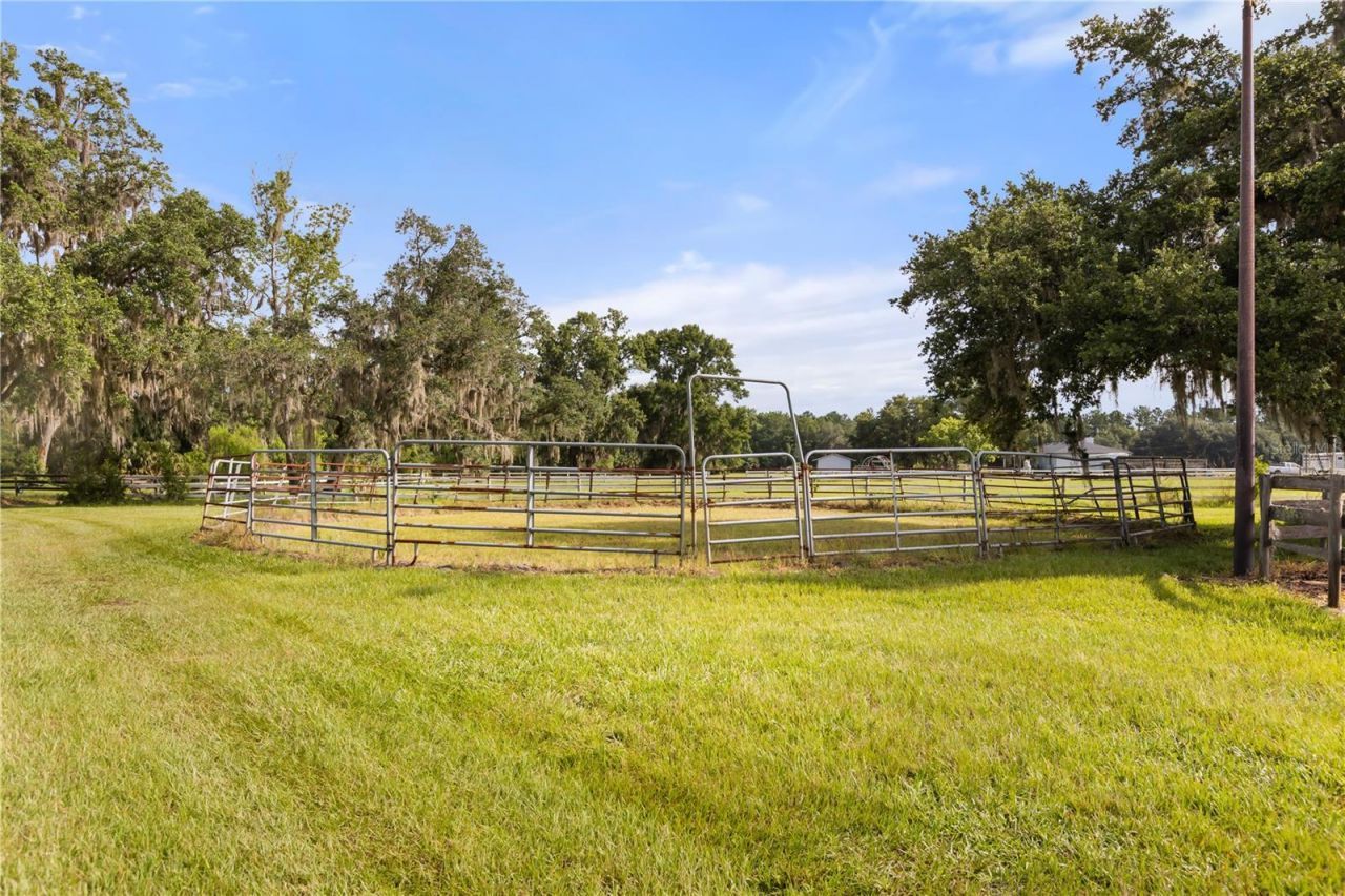32839 Webbs Way, Sorrento, FL 32776 Photo
