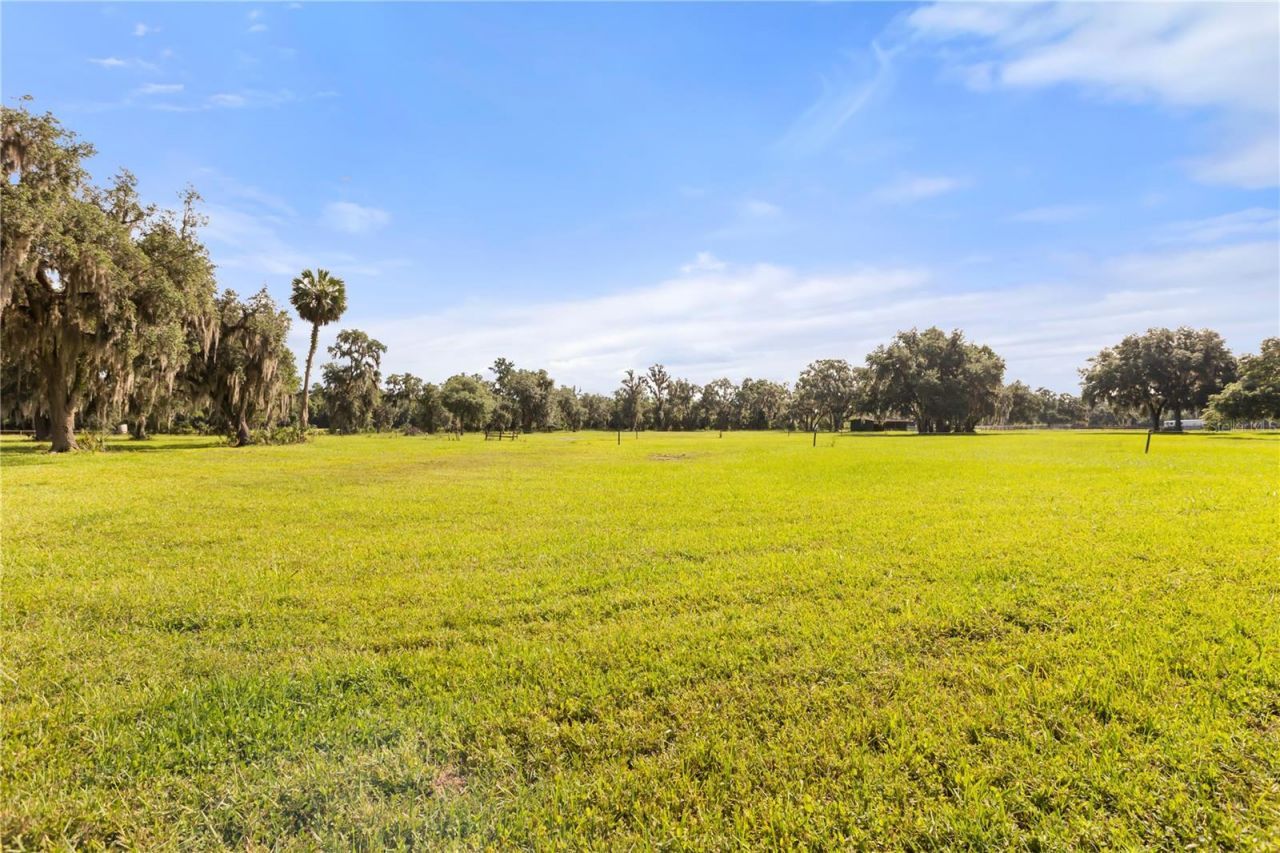 32839 Webbs Way, Sorrento, FL 32776 Photo