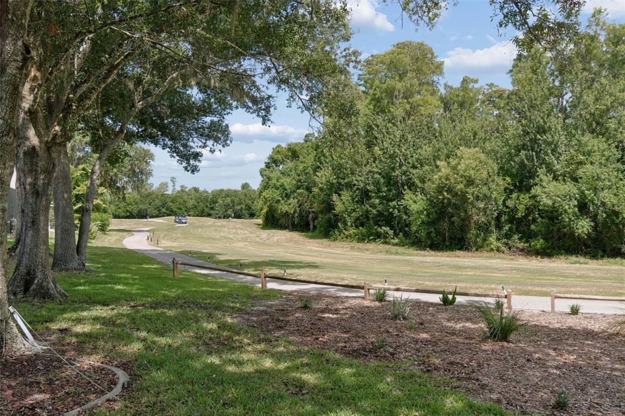 1230 Berkshire Lane, Tarpon Springs, FL 34688 Photo