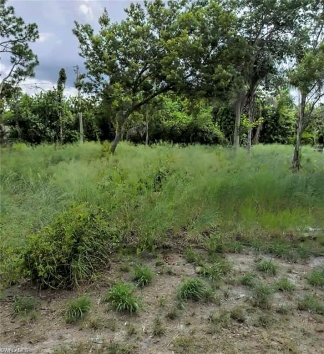 124 Lime Rd Nw, Lake Placid, FL 33852 Photo