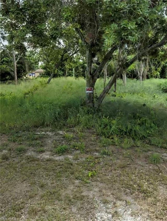 124 Lime Rd Nw, Lake Placid, FL 33852 Photo