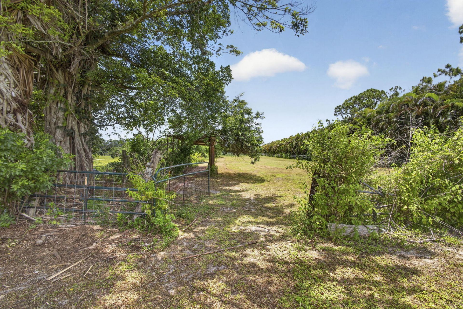 2944 A Road, Loxahatchee, FL 33470 Photo