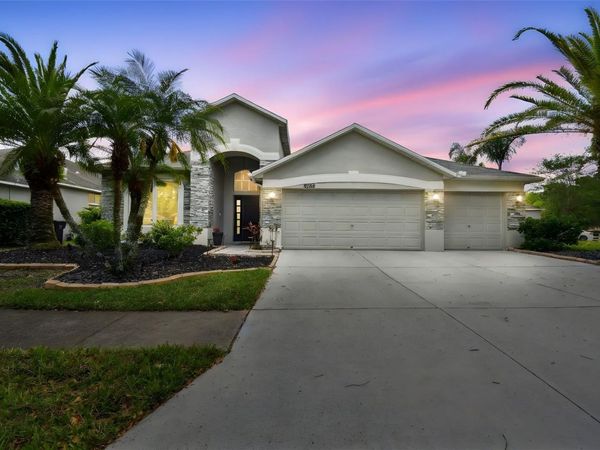 8208 PINEWOOD RUN COURT , TAMPA, FL 33647