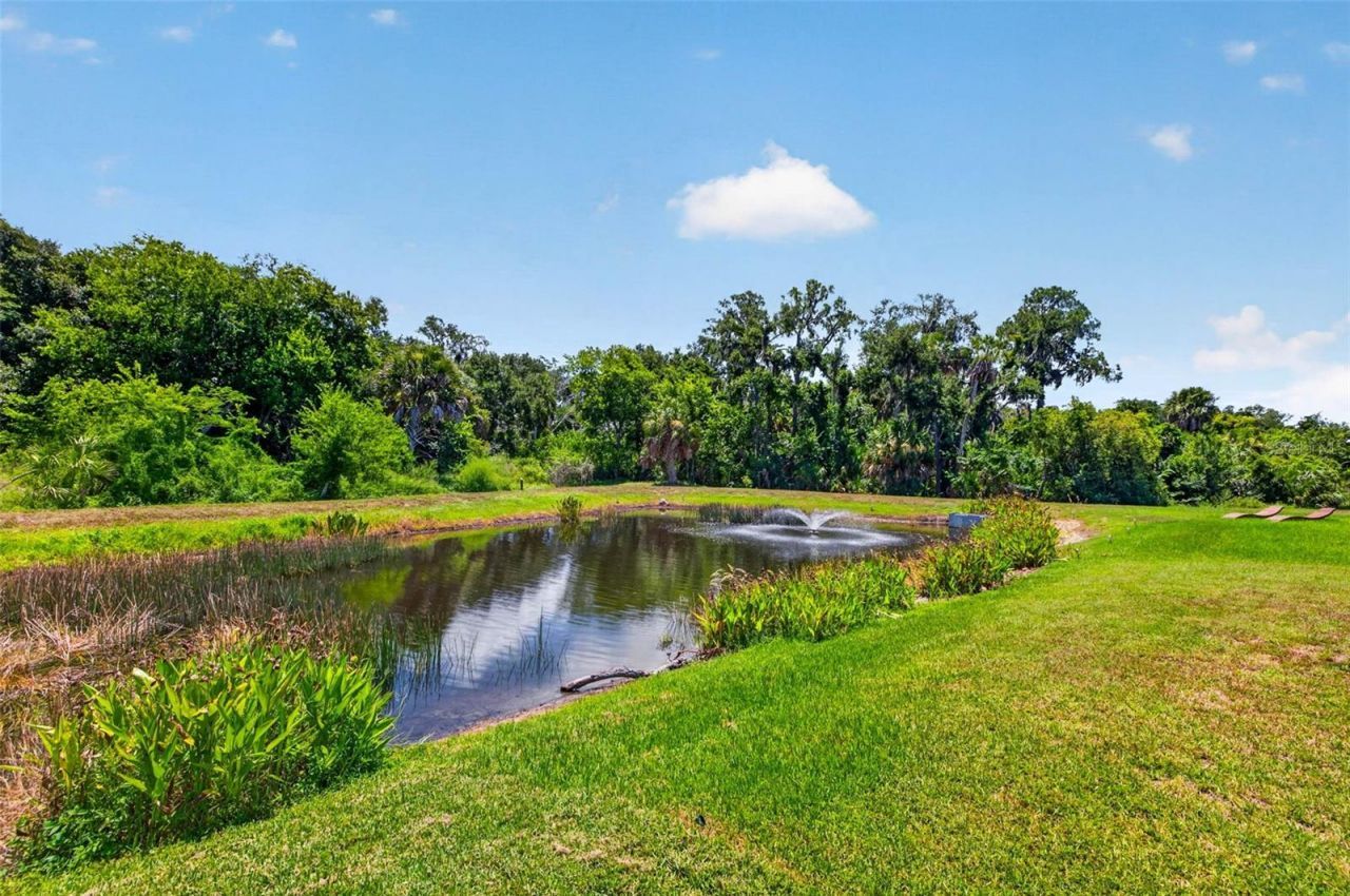 5951 Maidenstone Way, Palmetto, FL 34221 Photo