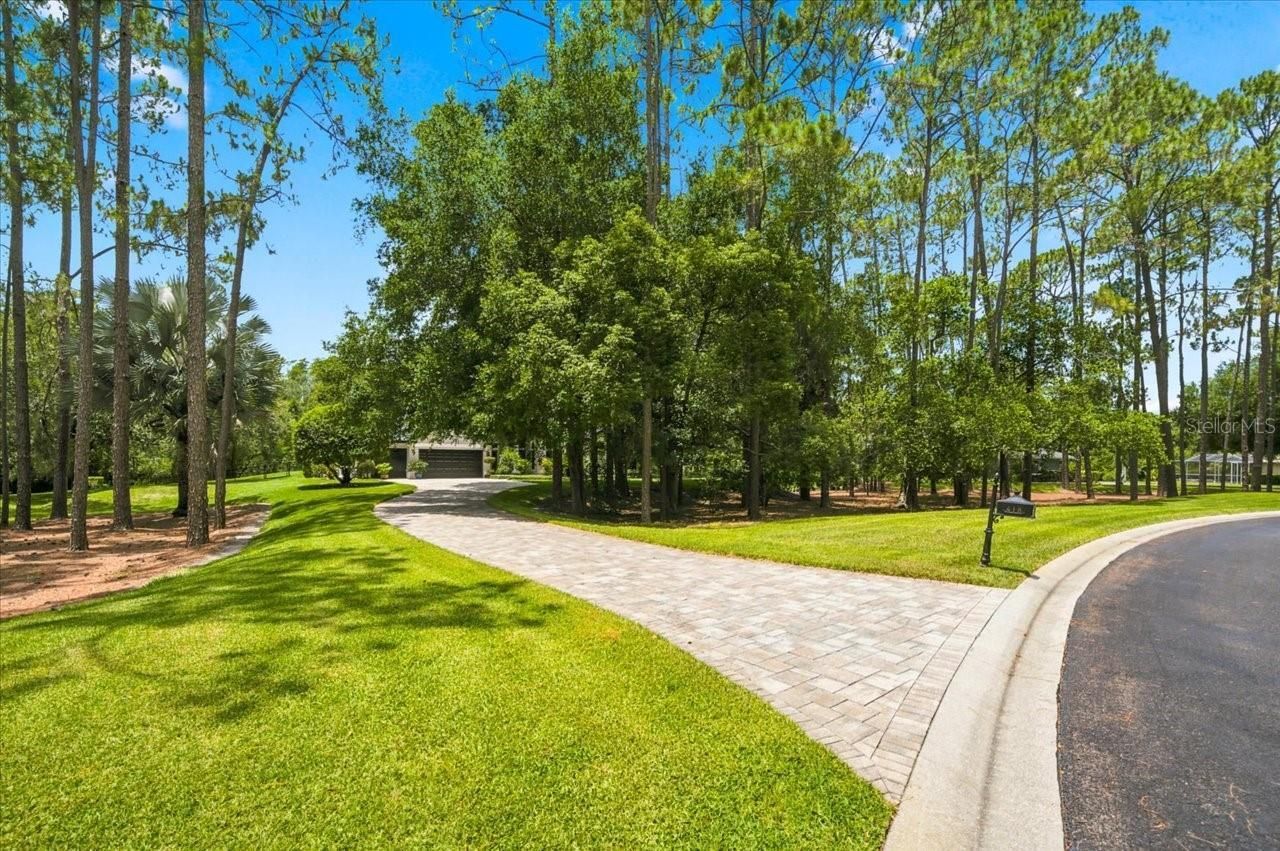 418 Pine Bluff Drive, Lutz, FL 33549 Photo