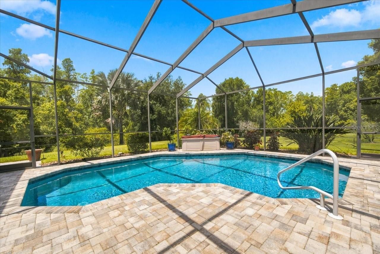 418 Pine Bluff Drive, Lutz, FL 33549 Photo