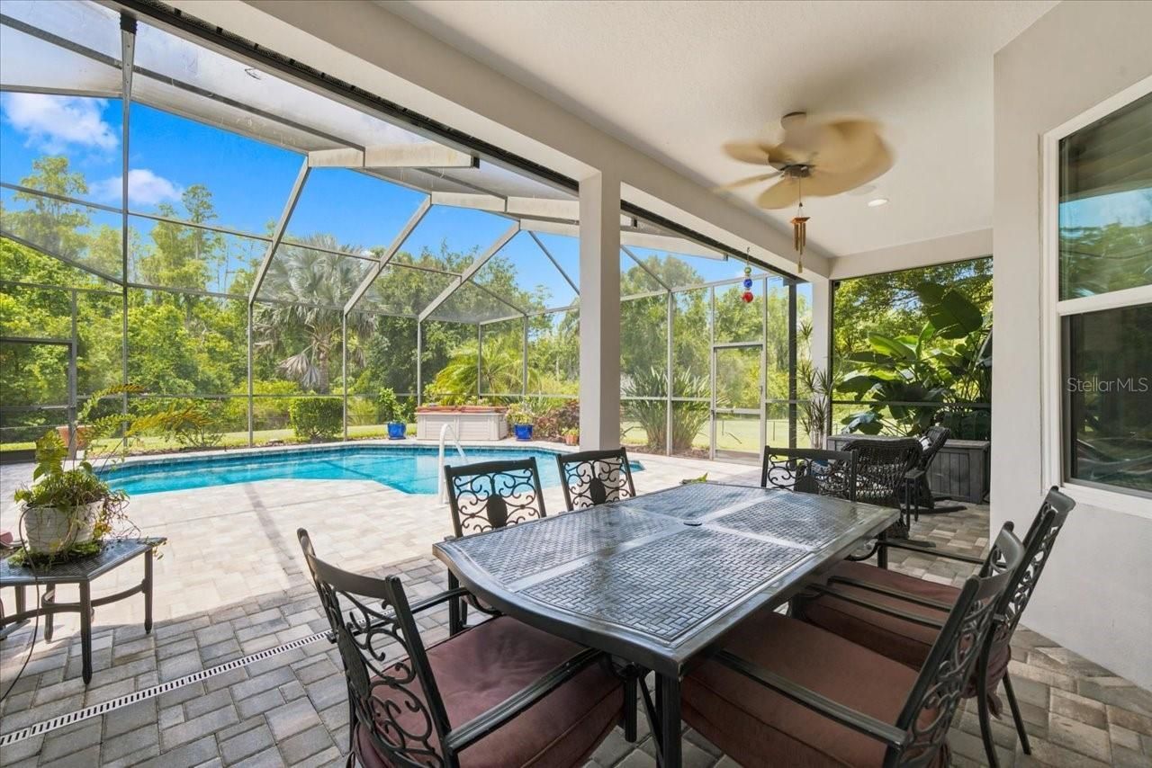 418 Pine Bluff Drive, Lutz, FL 33549 Photo