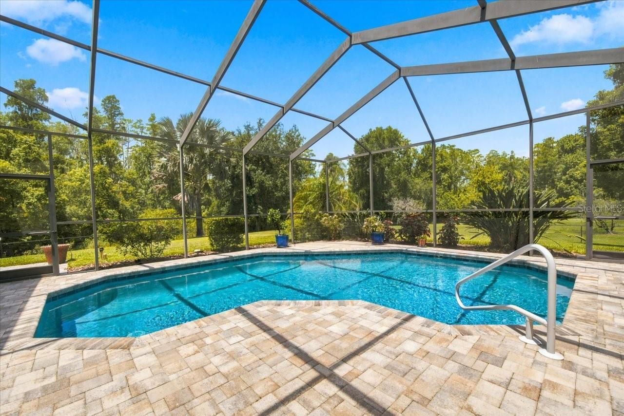 418 Pine Bluff Drive, Lutz, FL 33549 Photo