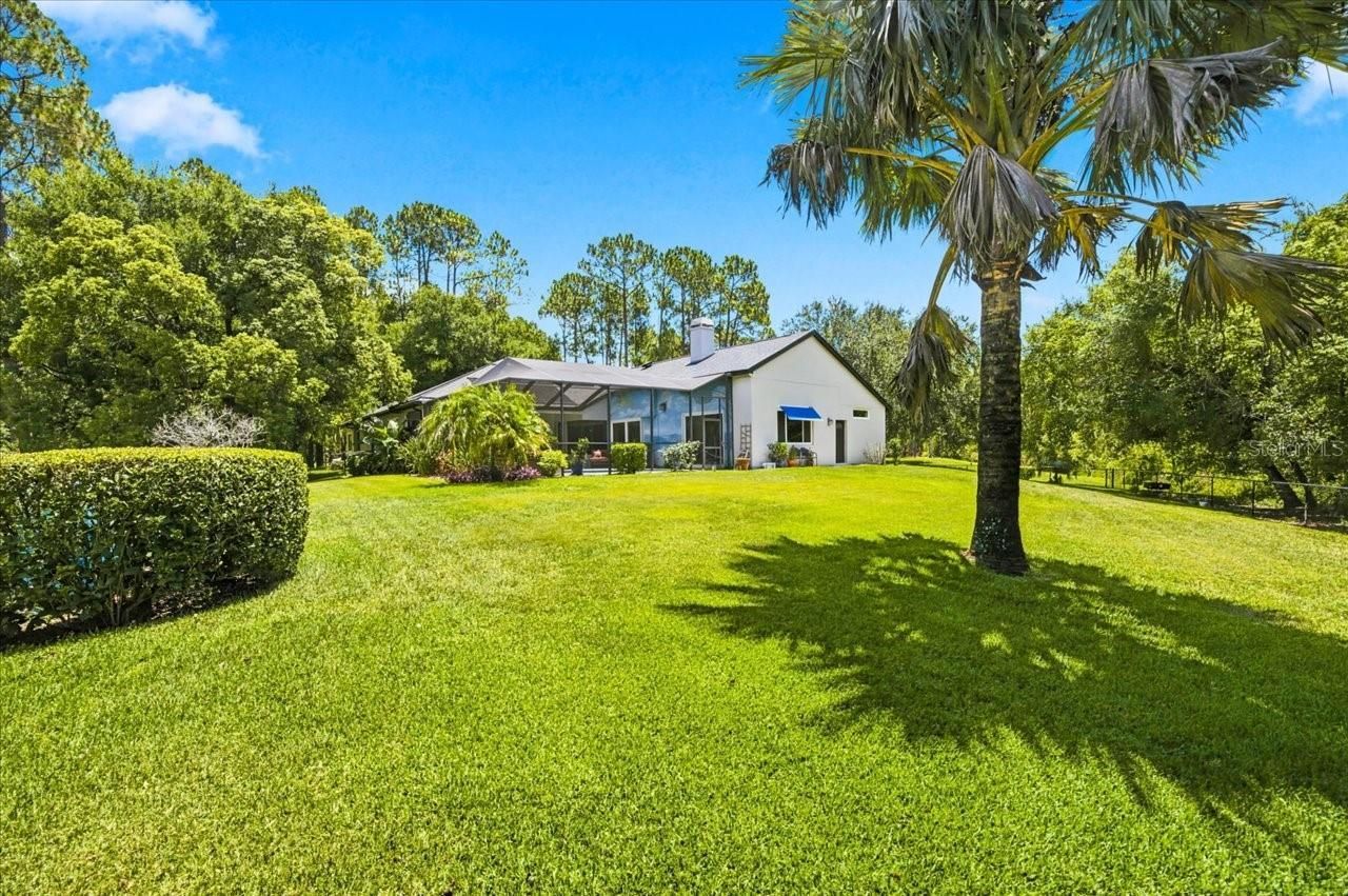 418 Pine Bluff Drive, Lutz, FL 33549 Photo