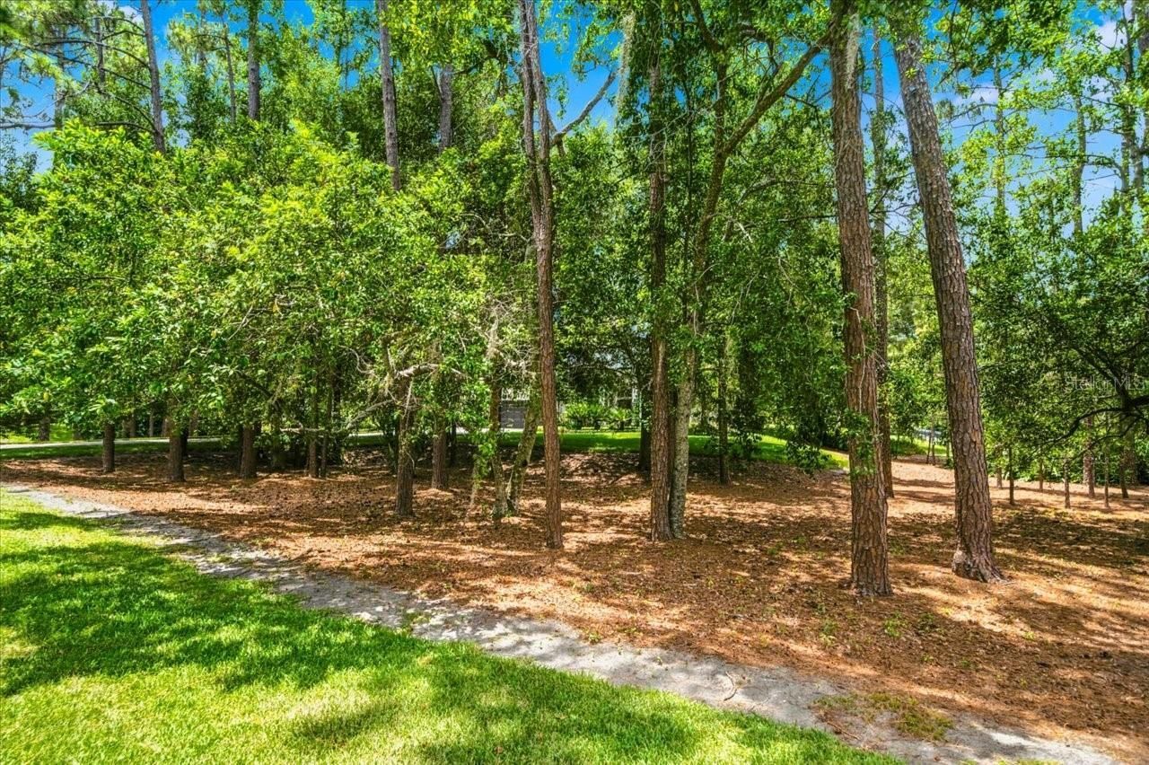 418 Pine Bluff Drive, Lutz, FL 33549 Photo