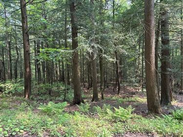 Spring Road S, Dansville, NY 14437