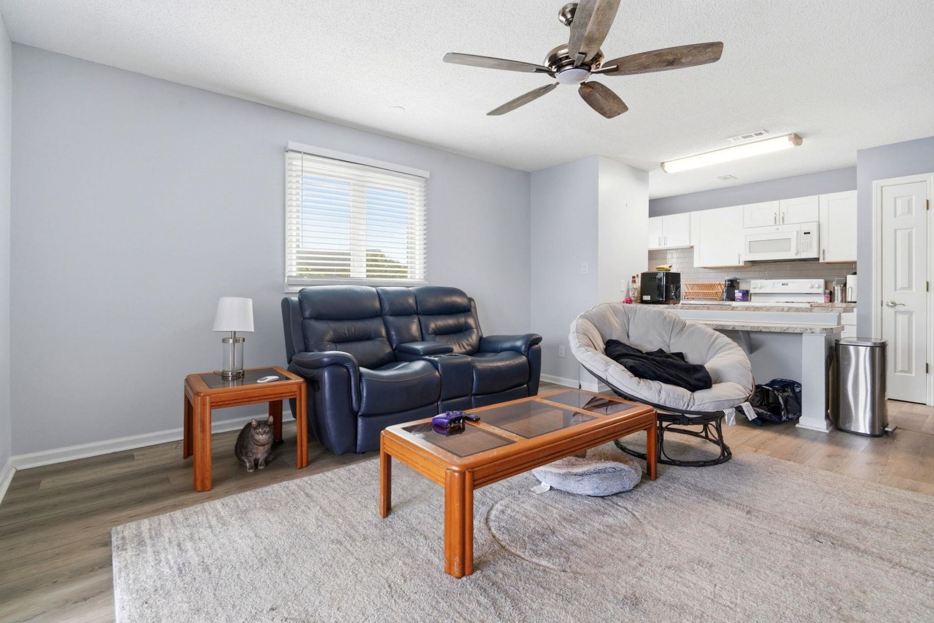 206 Double Eagle Dr. Photo 8
