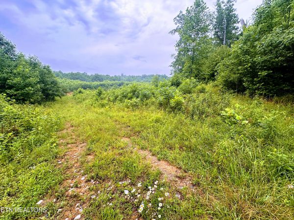 13.44 Chestnut Ridge Rd, Allardt, TN 38504