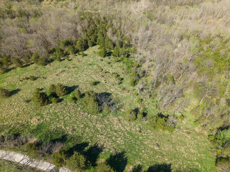 15.39 Ac Ravenscraft Road, Falmouth, KY 41040 Photo 4