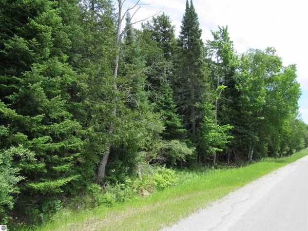 Poor Farm Road N, Harrisville, MI 48740