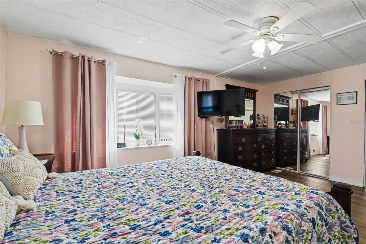 3902 Julie Drive, Wesley Chapel, FL 33543 Photo