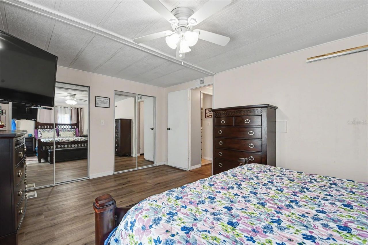 3902 Julie Drive, Wesley Chapel, FL 33543 Photo