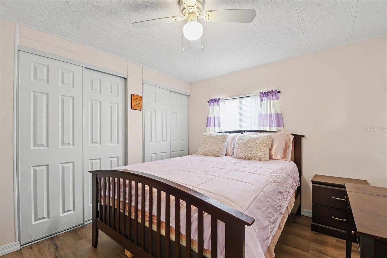 3902 Julie Drive, Wesley Chapel, FL 33543 Photo