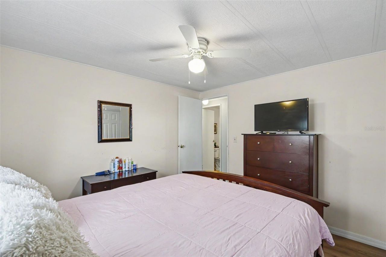 3902 Julie Drive, Wesley Chapel, FL 33543 Photo