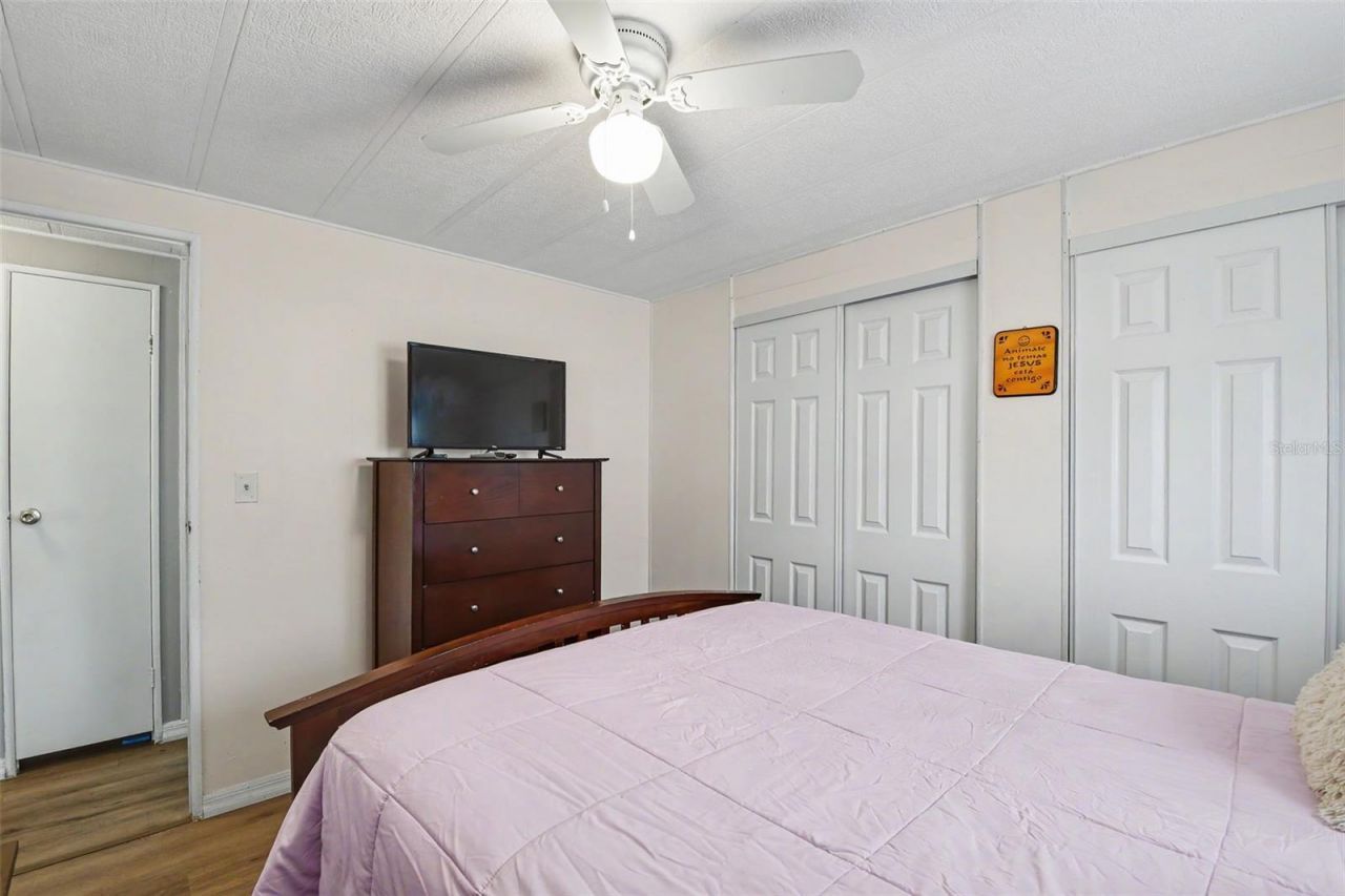 3902 Julie Drive, Wesley Chapel, FL 33543 Photo