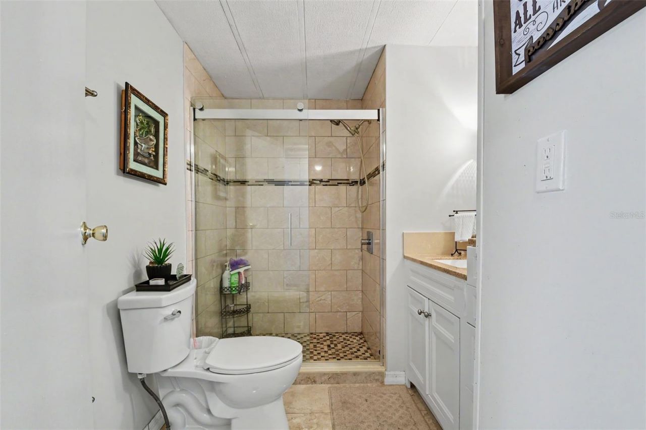 3902 Julie Drive, Wesley Chapel, FL 33543 Photo