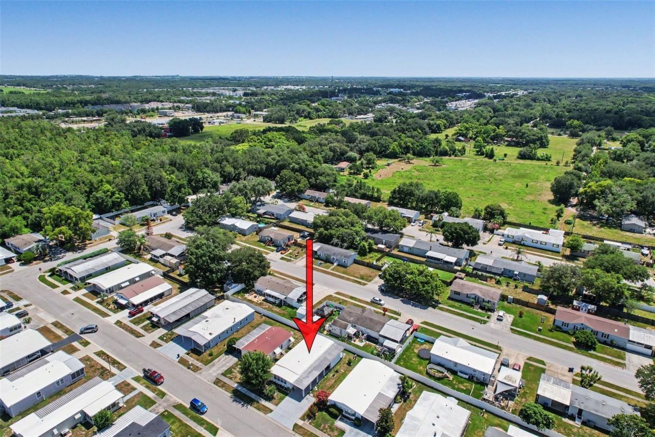 3902 Julie Drive, Wesley Chapel, FL 33543 Photo