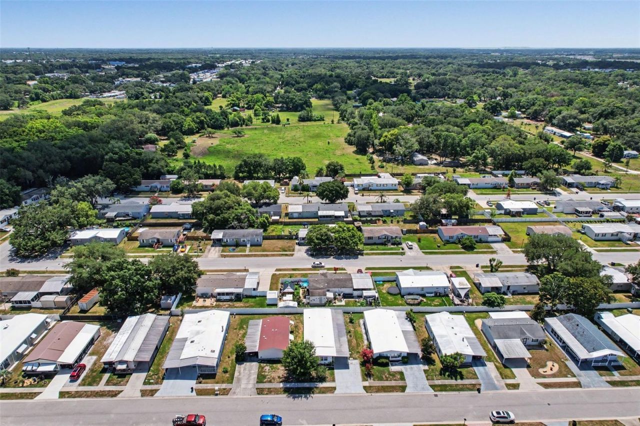 3902 Julie Drive, Wesley Chapel, FL 33543 Photo