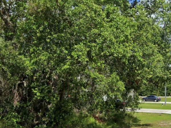 1504 ELOISE COURT , KISSIMMEE, FL 34759