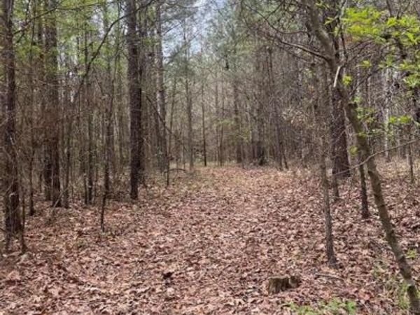 0 Crouch Road , Unit 3, Benton, LA 71006