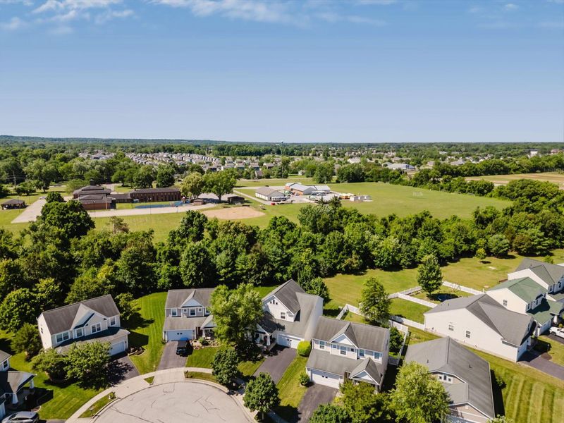 6615 Archie Court, Canal Winchester, OH 43110 Photo 77