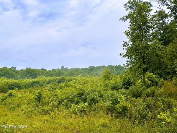 1344 Chestnut Ridge Rd , Allardt, TN 38504