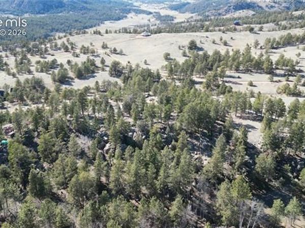 421 Crescent Drive, Florissant, CO 80816