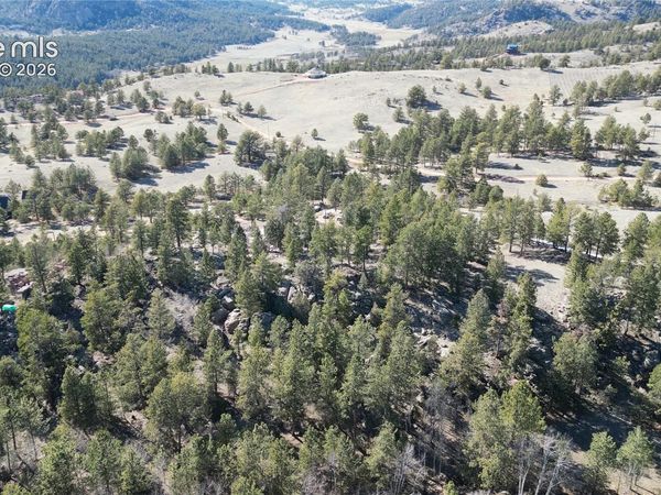 421 Crescent Drive, Florissant, CO 80816